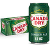 Canada Dry Dry Ginger Ale 24X235 ml
